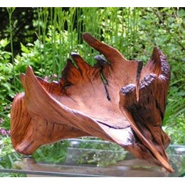Disque Sculpture D�coupe WOODCARVER GOLD